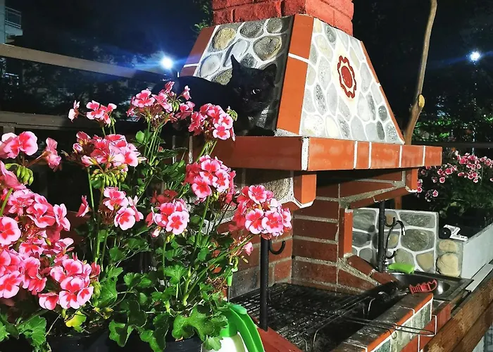 Casa de hóspedes Admiral 3*